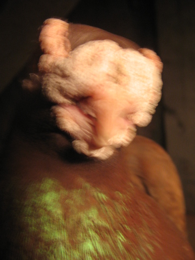 indian englez RO 2006 M