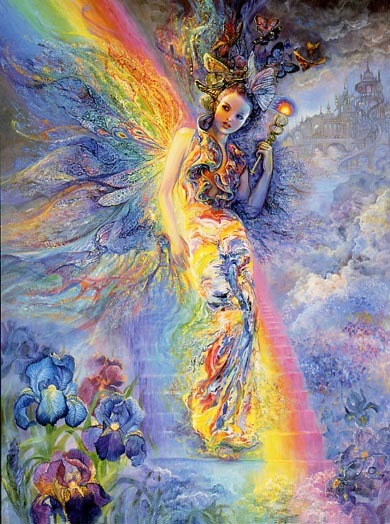 iris - flori