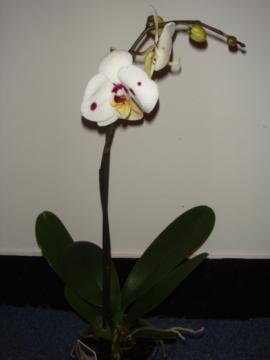 DSC01610