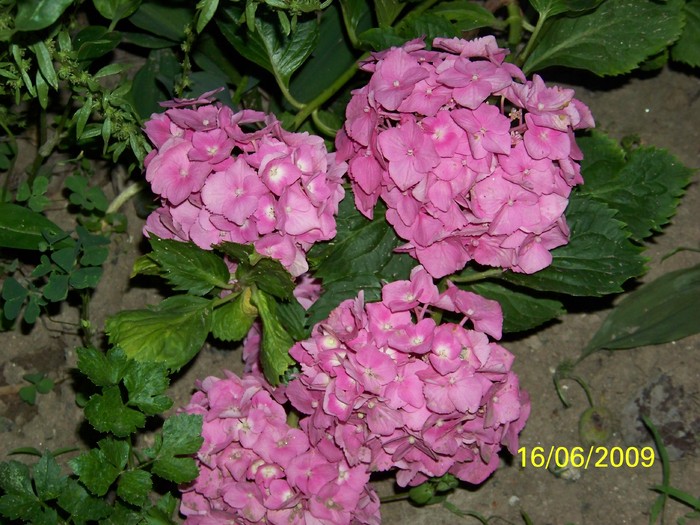 100_5037