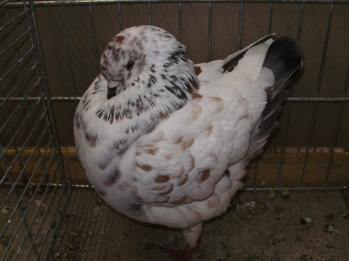 05767a