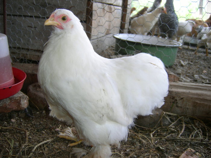 SANY0083