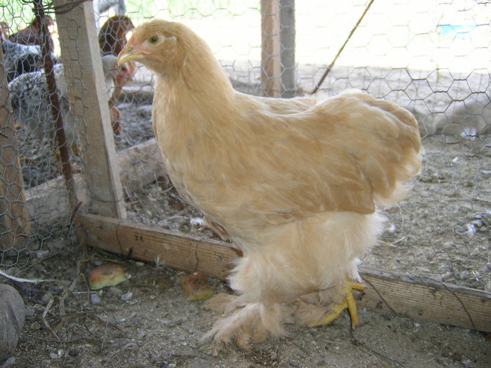 SANY0084