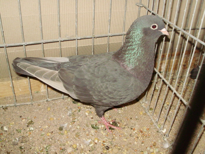 15235a