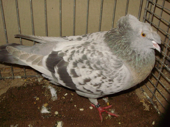 15390a