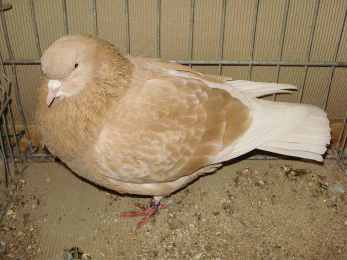 15725a