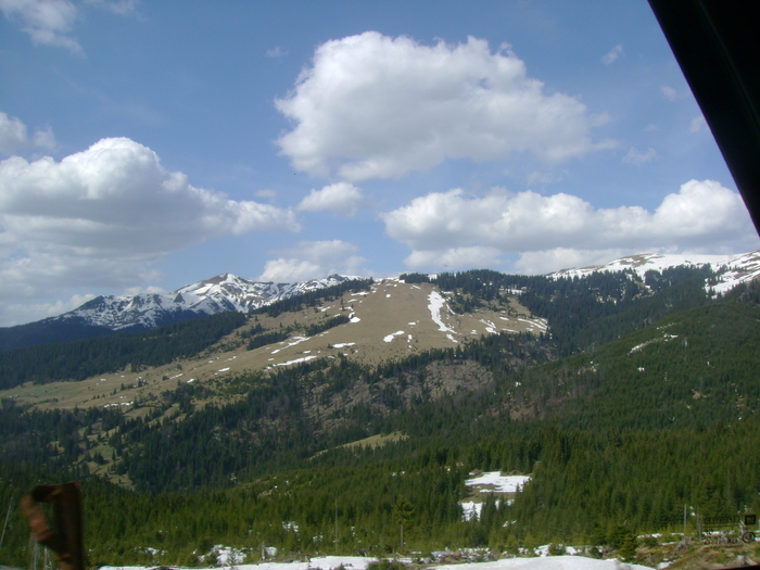 cine ne promoveaza meleagurile ?