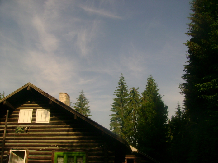 ziua buna se cunoaste de dimineata