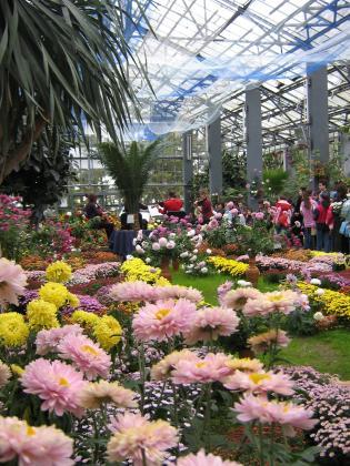 Expozitia_Flori_de_toamna07_Gradina_Botanica12_1