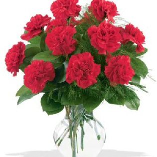 Garoafe-Rosii-poza-t-P-n-d_334 - flori