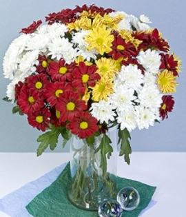 Crizantema-15-CRIZANTEME-poza-t-P-n-B[1] - imagini cu florii