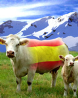 Spain - animale