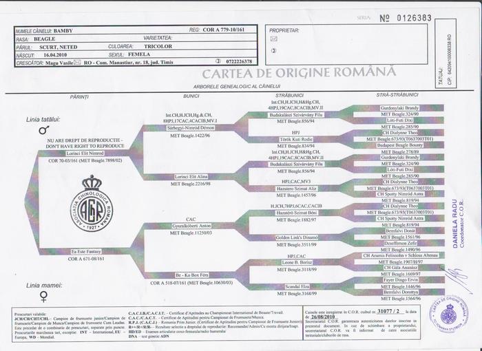 scanari 30.11.2010 004