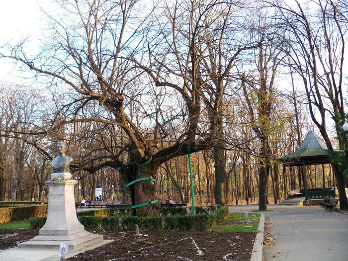 teiul lui Eminescu - parc