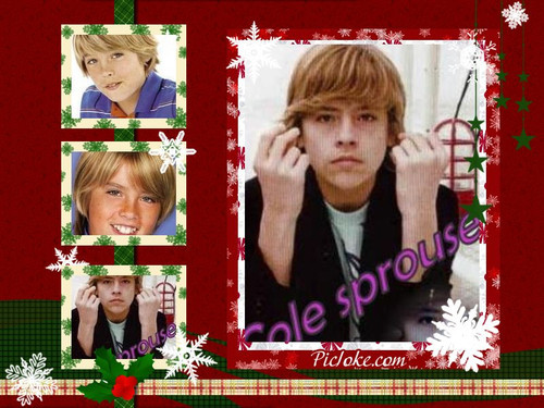 1262361533104_f - cole sprouse si ezel