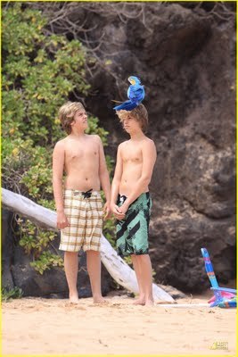 Dylan and Cole Sprouse with a parrot at Hawaii