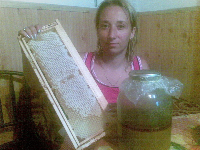 26072010(001) - apicultura