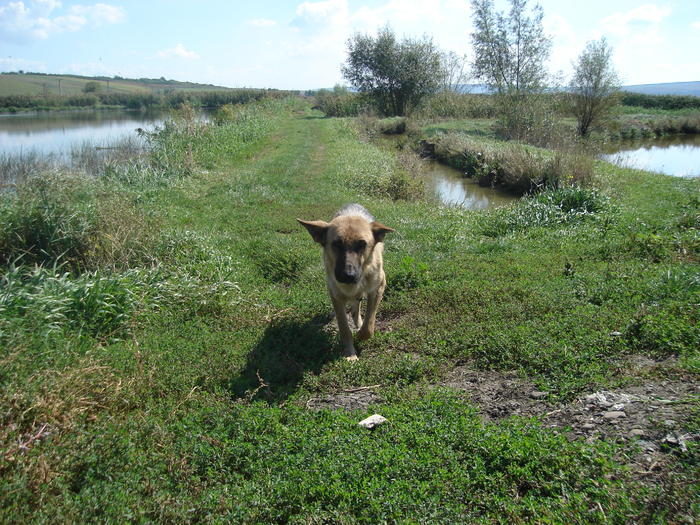 IN PATRULARE - la pescuit pe hanesti