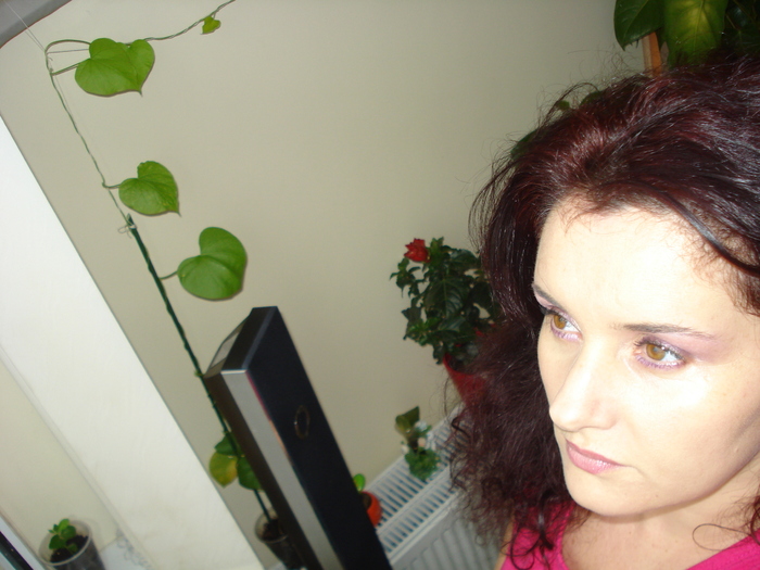 VISAND LA CAI VERZI PE PERETI:) - EU