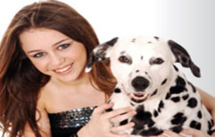 miley_cyrus_dog-dalmata - miley