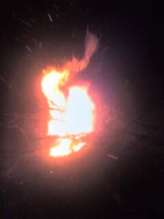 picture016