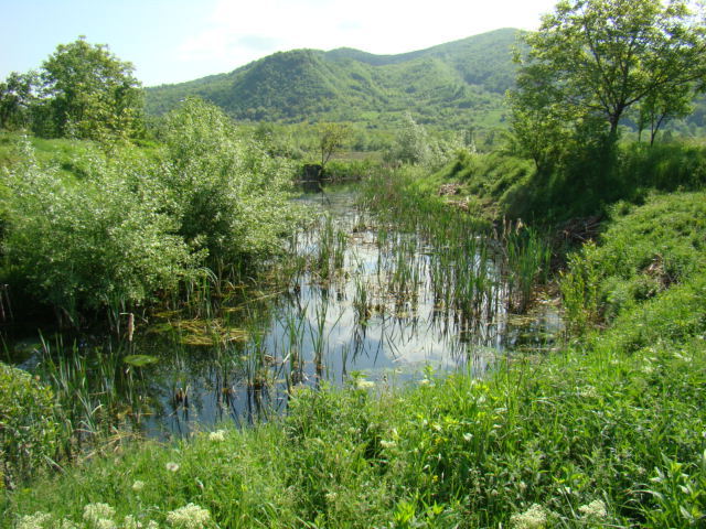 CE A FOST..........MAI 2010 - CABANA CU LAC