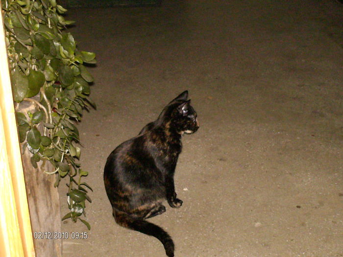 la aer curat pe palier..