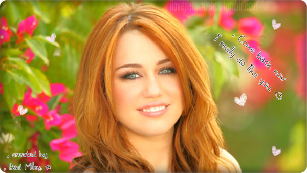  - x All picsS MilsS