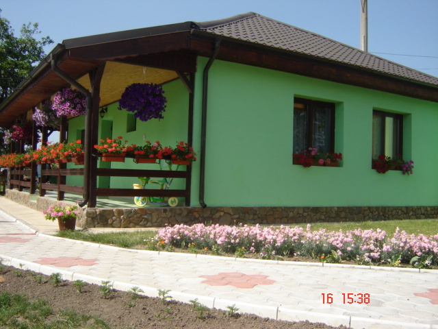 DSC05918 - florile din jurul casei