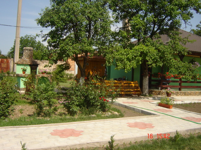 DSC05929