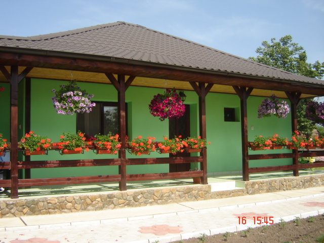 DSC05935