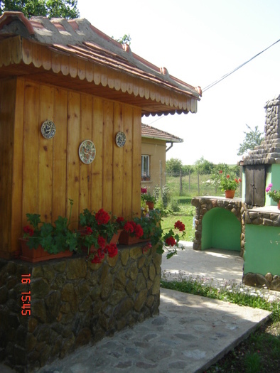 DSC05937 - florile din jurul casei