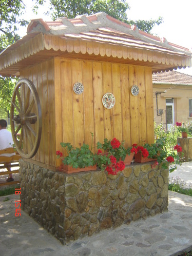 DSC05938 - florile din jurul casei