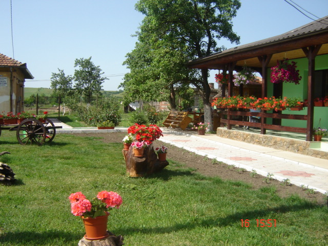DSC05958