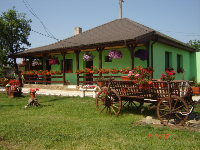 DSC05961