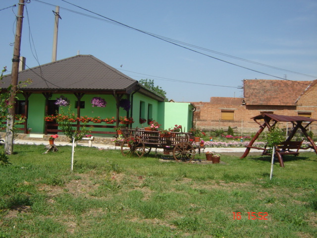 DSC05962