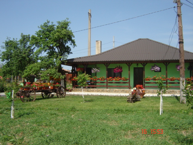 DSC05967