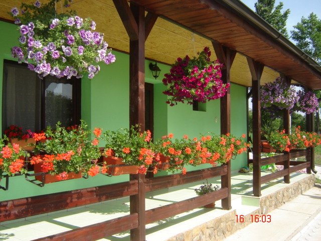 DSC06007