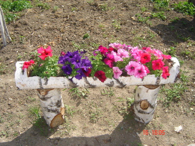 DSC06015