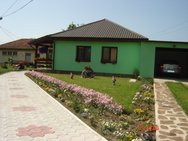 DSC06017