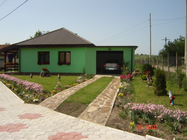 DSC06020