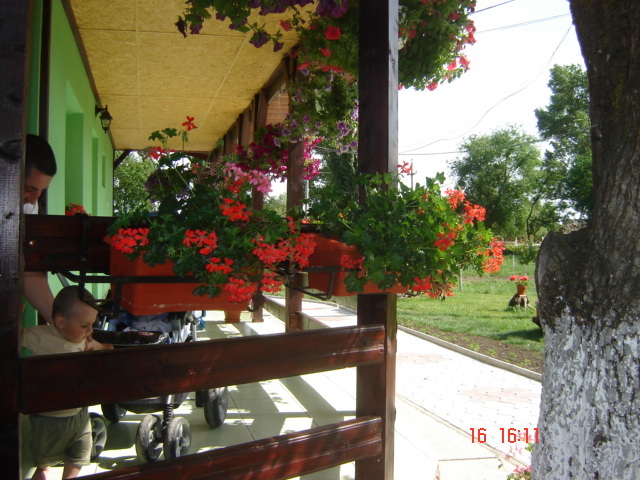 DSC06038