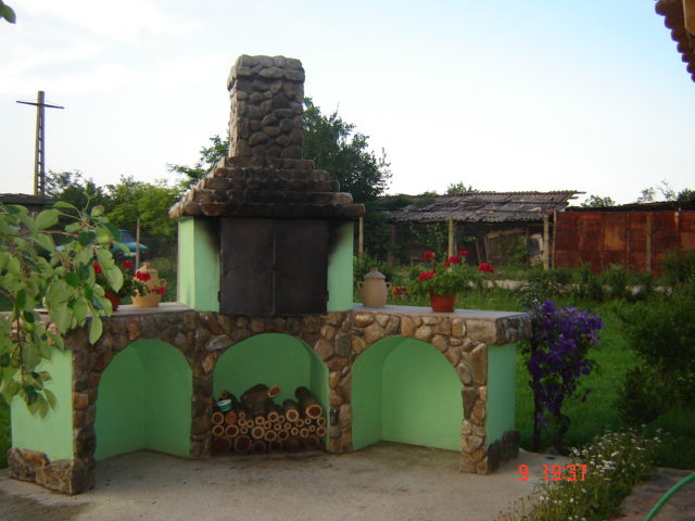DSC06244 - florile din jurul casei