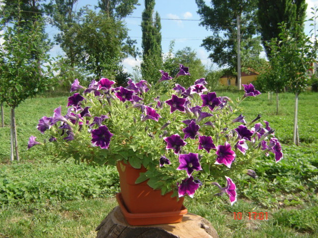 DSC06309