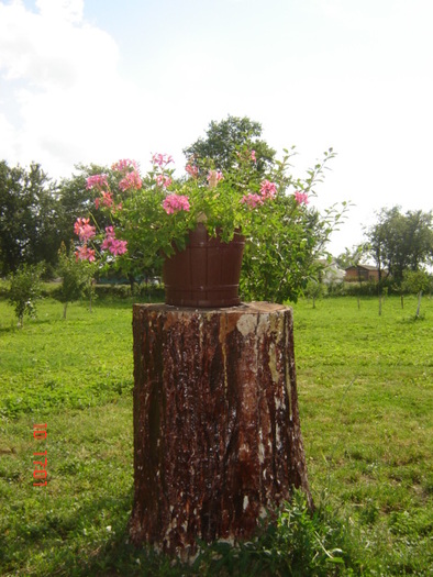 DSC06310