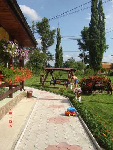 DSC06312