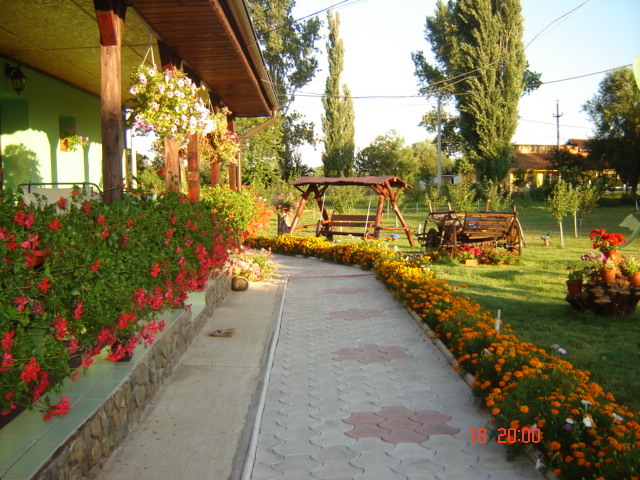 DSC06352