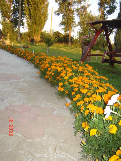 DSC06357
