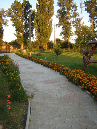 DSC06358