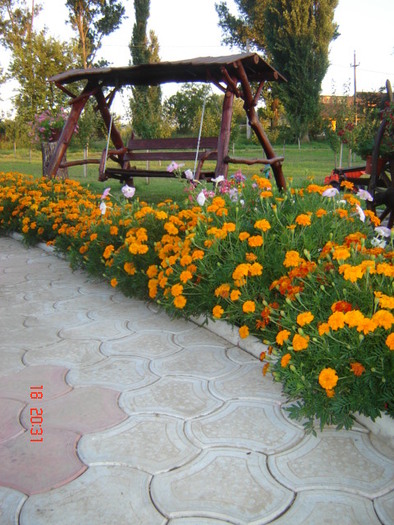 DSC06362